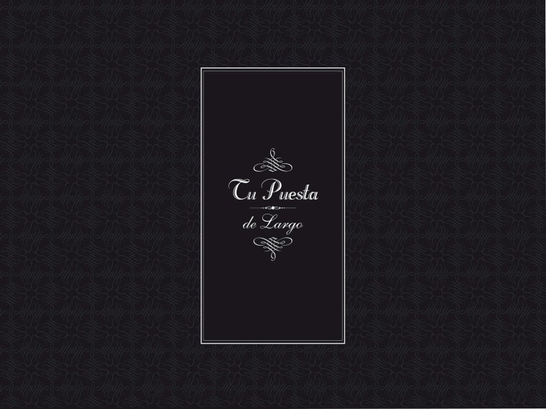 Web-tu-puesta-de-largo-disseny-02