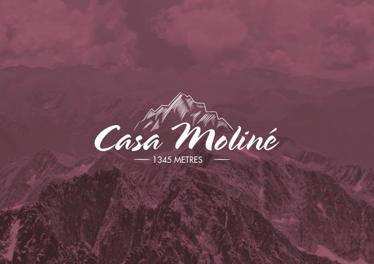 PRESENTACIÓ PROJECTE CASA MOLINÉ