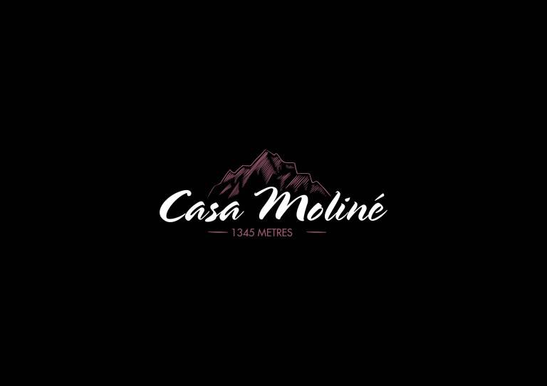 PRESENTACIÓ PROJECTE CASA MOLINÉ4
